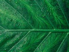 [정환수겸] 방백