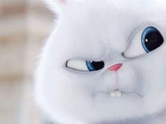 김씨 집안 막내 일상 구경하실? TALK 22