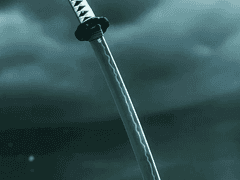 2화. 센잘우즈(2)