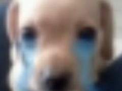 츄갬이 정신병의 시발점