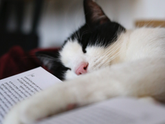 소타스즈 썰 모음 (백업)