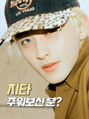 치타 주워보신 분?