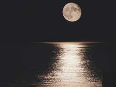 그리고 그대가 있었다.