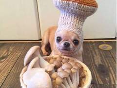 나한테 괜히 지랄하는 사람 대처법