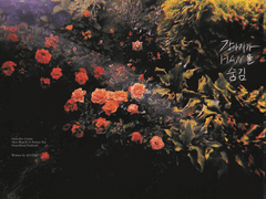 4월 디페 / 아카아무 신간 (단편 소설)_『강아지가 HAM을 숨김』 샘플