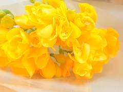 바쁜 주간을 지내며 들었던 생각들.