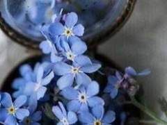 La fin de mon choix, c’est toi.