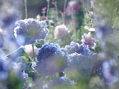 [융팝][하드코어] 봄비