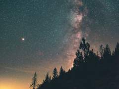 새로운 새벽 (上)