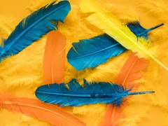 낙조落鳥 (4) 完