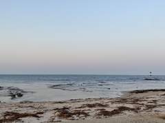 파도 끝에 젖은 모래는 생각보다 빠르게 마른다