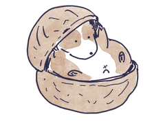 호두 쥑쥑이 스마트폰 배경