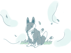 털갈이 늑대 PC 배경화면