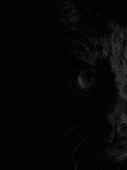 읽지 못하는 여자