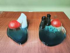 농구공 신발 트레이 샘플