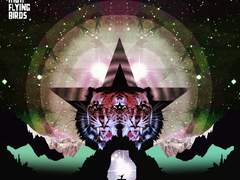 [Black Star Dancing] NGHFB - Sail On 가사 번역