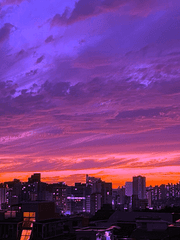 사쿠라기가 사라진 날