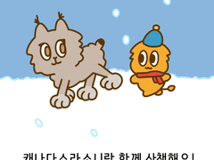 3화 눈 위를 걷는 기적 캐나다스라소니