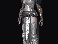 빛의 법률 집행자 염색 코드