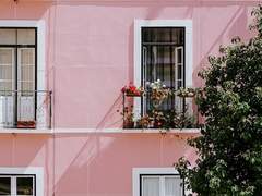 이웃집 아쿠마 씨 (中)