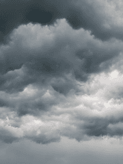 D or D | 사랑과 가이딩에는 삼투압의 원리가 적용된다