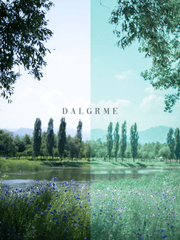 라이트룸 프리셋