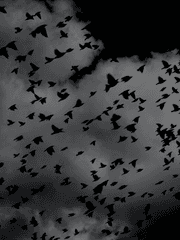 가비지타임 연성