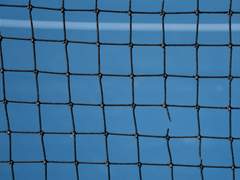 불청객과의 담론