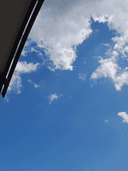 망가진 독자와 내스급