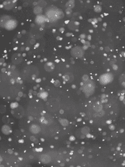 TEAM/ 시라타키 유키 이야기