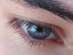 수인 세계관에서 하여자 해파리 수인으로 살아남기