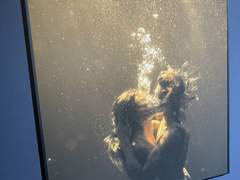 너를 싫어하는 이유