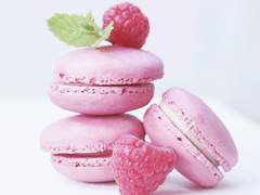 [연밤] 비게퍼 파업 선언