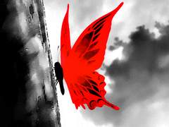 [ 도리벤 ] 인생의 모든 것이 거짓말이였지만