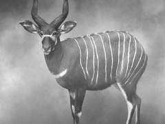 [16] G.H - housebound demigod