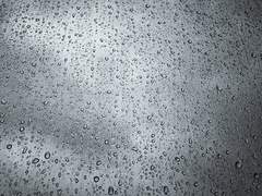 The Four Seasons-L’Estate(上)