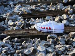 카나가와 현립 쇼호쿠 고등학교 농구부 신입부원용 안내문.