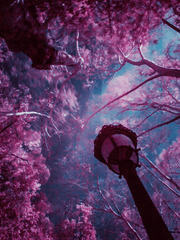 시작도 못한 소설의 끝을 위하여