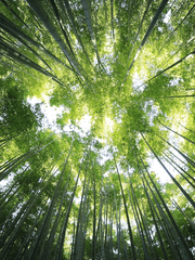 고오오오옹지들