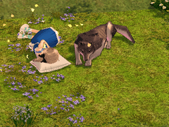 승냥이와 소풍을