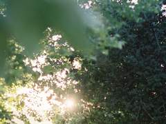 [랩진] 부드러운 살결 (Finale)