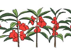 슬램덩크 연성 백업(산왕CP, 3차, AU)