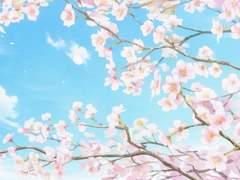 [세이미나] 도련님