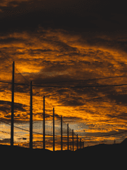 달빛 아래 부서진 세계