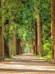 도토리의 도망 생활