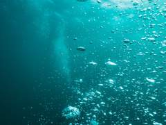 [호열백호] 심장