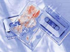 우리의 시간은 나비가 되어