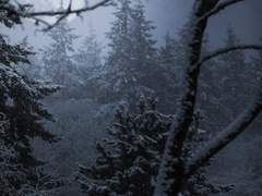 [우성명헌] 나의 오로라 01