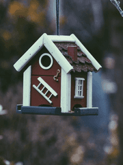 [로코라] 마이 하우스 푸어 프린세스