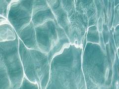 [호열백호] 우리가 바다로 갔으면 좋겠어